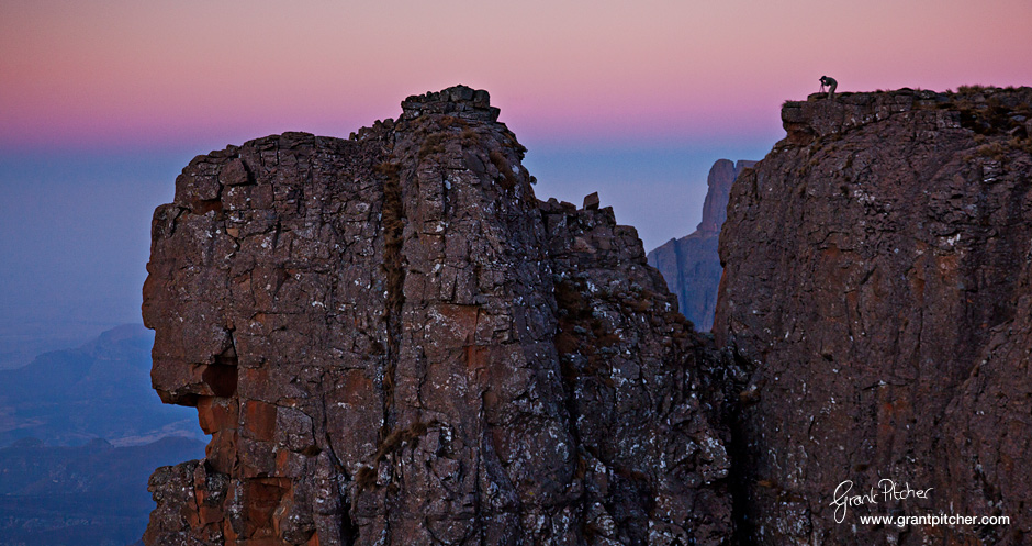 Rian catching the last colours of the sunset.